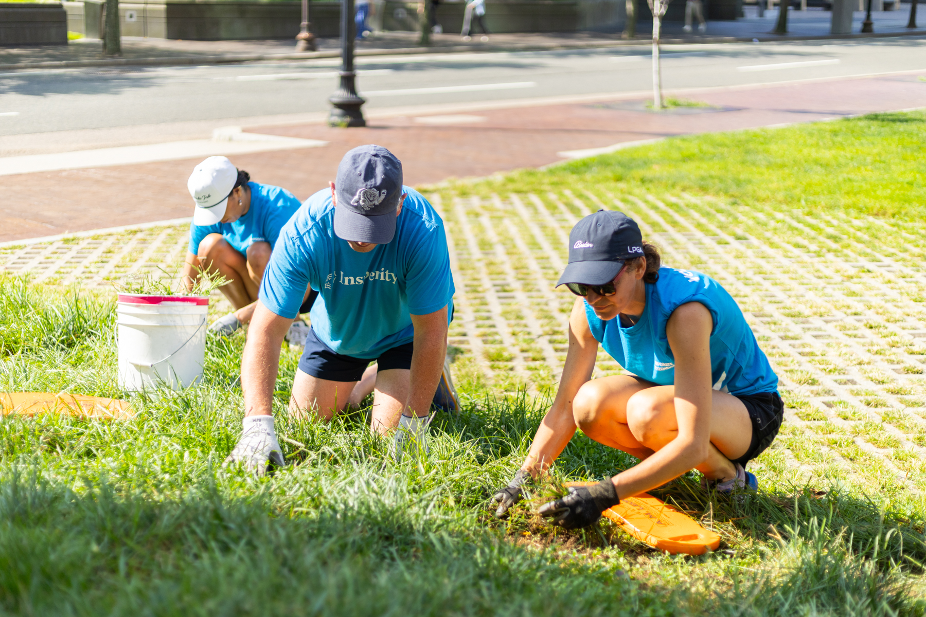 Team and partners